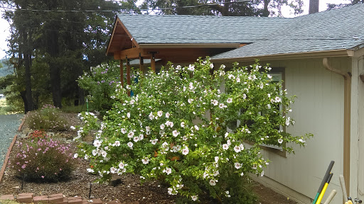Gutters Plus - Visual
