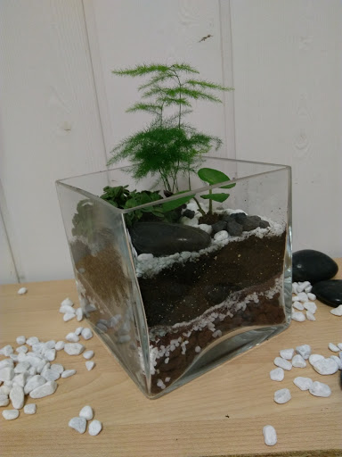 L' Atelier Green Addict - Thumbnail