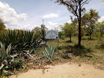 church