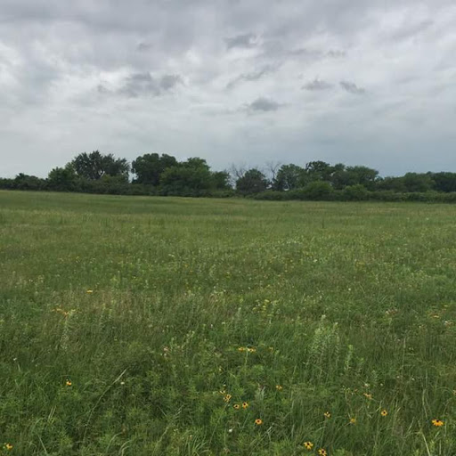 Fertig Tallgrass Prairie - Thumbnail