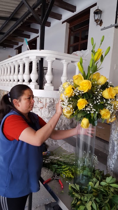 Photos of Casa Rocafuerte