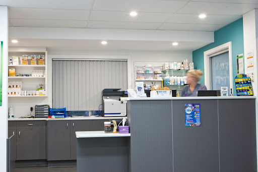 Edgeworth Animal Medical Centre - Thumbnail