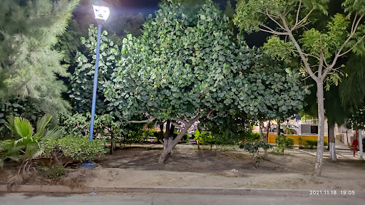 Barrio Chico Park Gallery - Mexico