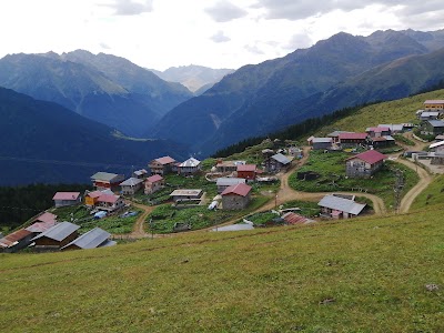 Gito yaylasi cici baba dağevi