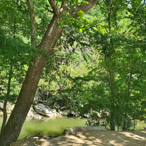 Herbert Holt Park - Thumbnail