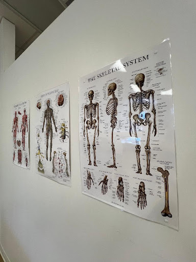 Airline Physical Therapy and Chiropractic - Thumbnail