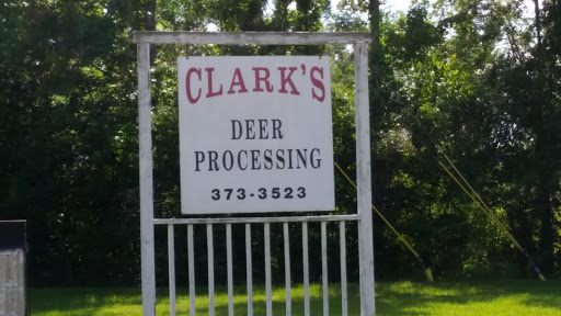 Clark's Processing - Visual