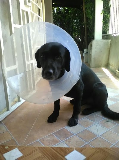 Photos of Veterinaria AMA