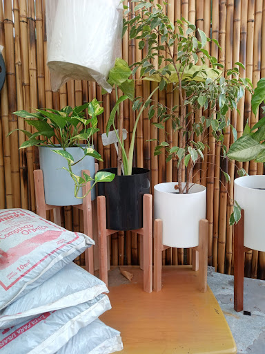 Vivero Blockchaine - Foto 1