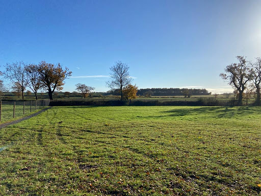 Hampton Lovett Secure Dog Field - Thumbnail