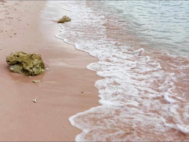 Pink Beach