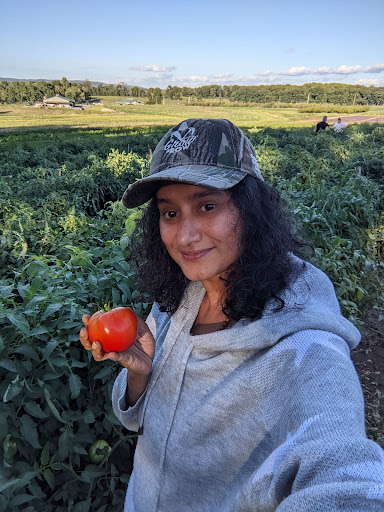 America's Grow-A-Row - Thumbnail