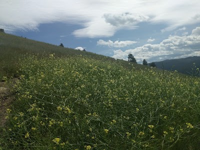 Mt Helena Ridge Trailhead