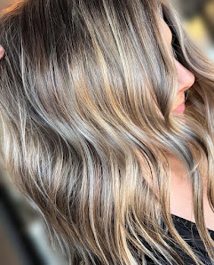 BJ Grand Salon & Spa 3055 Professional Dr, Springfield, IL 62703, United States