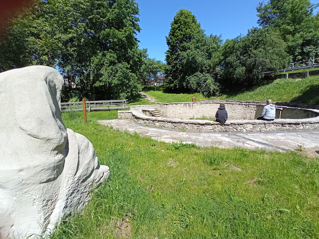 Comentarii opinii despre Źródło Niepryszki