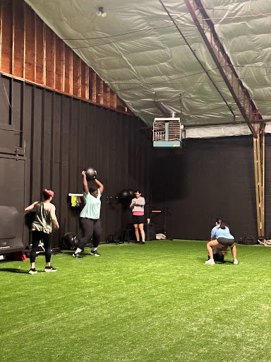 Impact Performance Training 2 - Visual