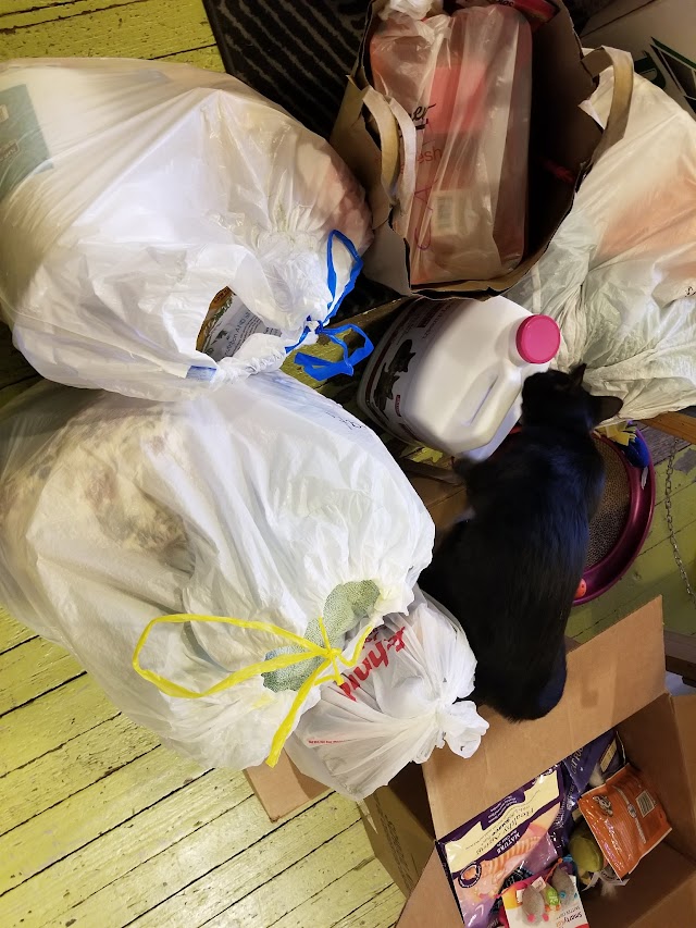 Tenth Life Cat Rescue