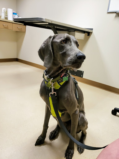 The Ohio State University Veterinary Medical Center at Dublin URGENT CARE - Thumbnail