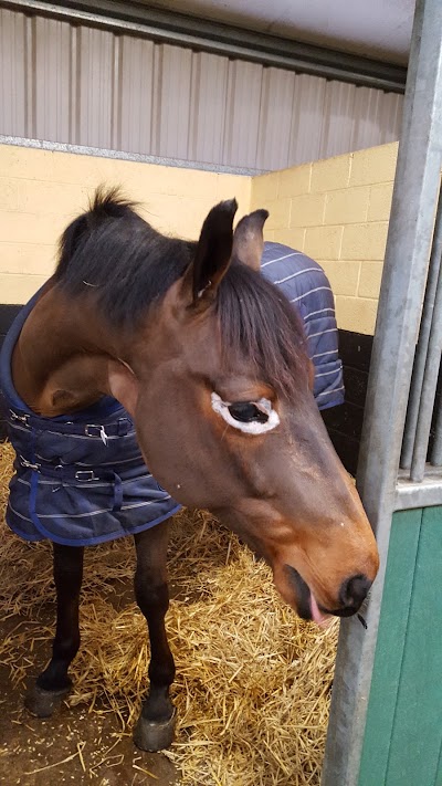 Photos of Lisadell Equine Hospital