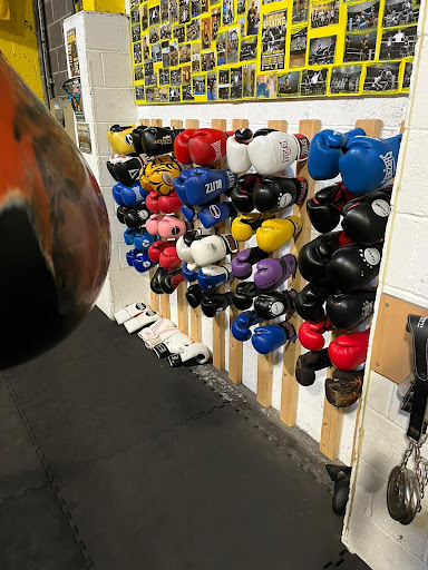 SFK Gym - Thumbnail