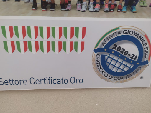 Palestra Corni - Visual