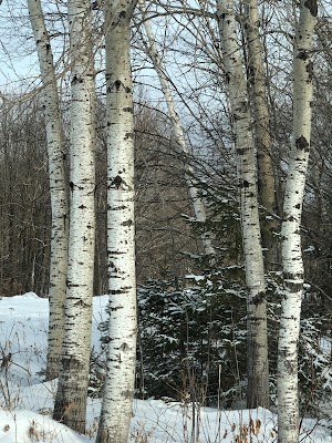 Crandon - Image 4