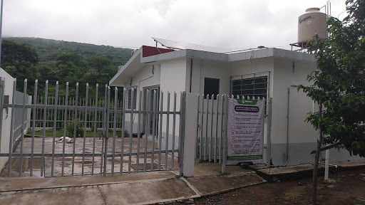UCE PLATANITOS - Visual
