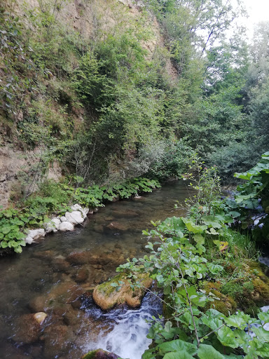 Cartiera - Visual
