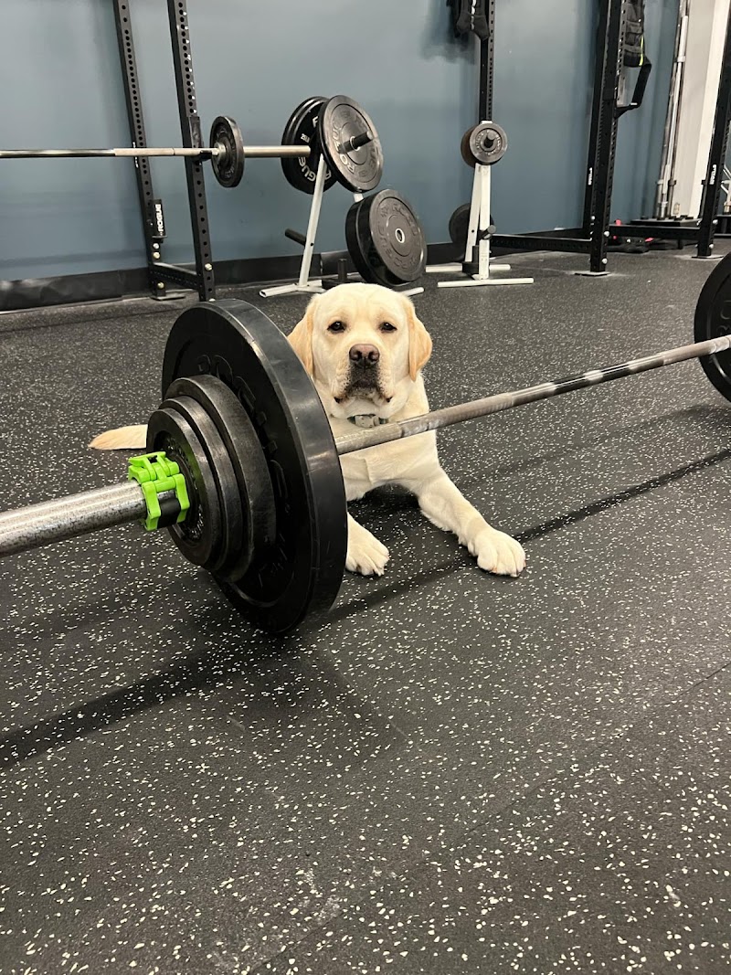 OnTrack Physical Therapy and Functional Training