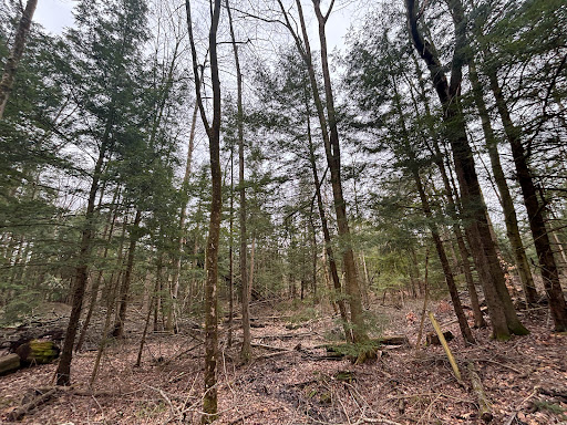 Ernst Trail Mercer Pike Trail Head - Thumbnail