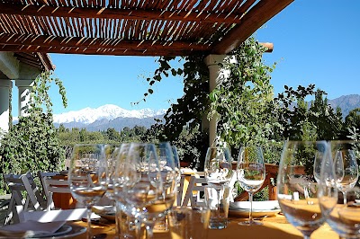 Photos of Bodegas Nieto Senetiner