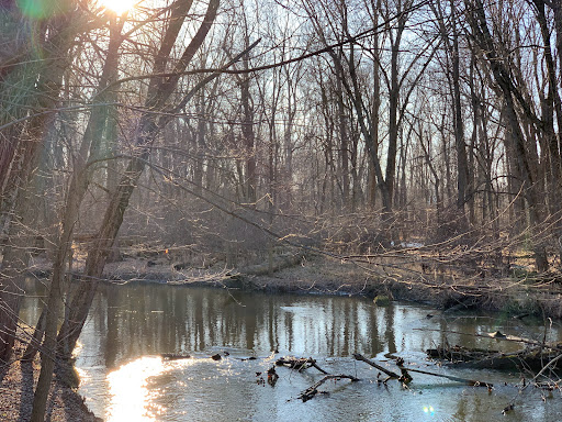 Scott Woods Park - Thumbnail
