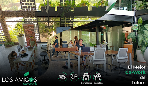 Brokers Business Center / Coworking Tulum