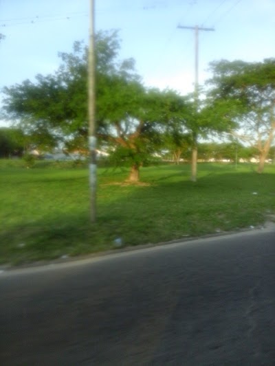 gas-station