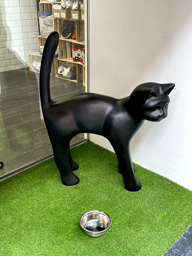 Black Bone | Dieta BARF para mascotas Gallery - Spain