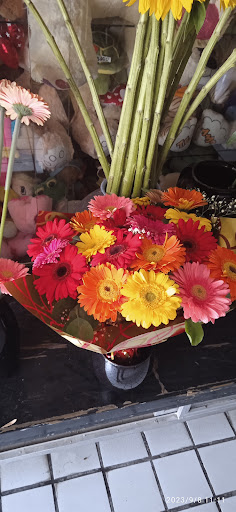 Floristas D' Lucy - Thumbnail
