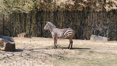 Little Rock Zoo