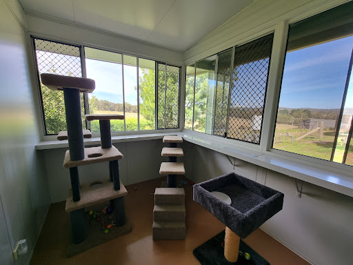 Hahndorf Boutique Cat Boarding - Thumbnail