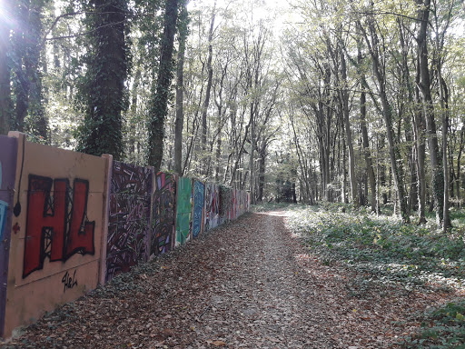 Chigny Woods - Thumbnail