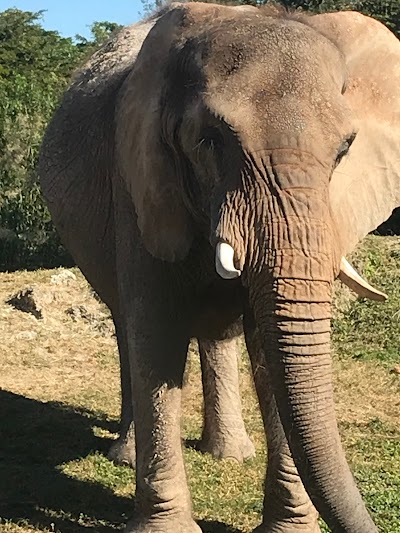 Miami Metro Zoo