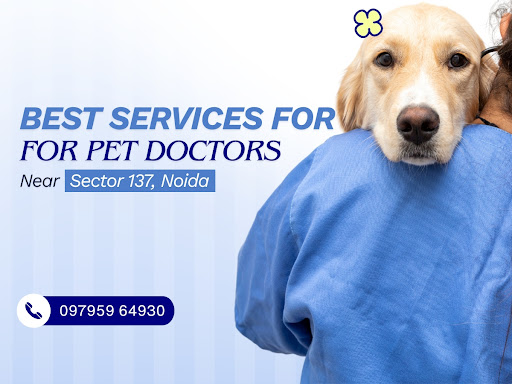 Best Services For Pet Doctors Near Sector 137, Noida post image