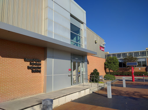 UH Technology Bridge - Visual