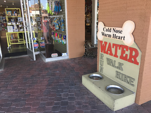 Cold Nose Warm Heart - Thumbnail