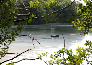 Photo n°13 de Base de loisirs départementale à Champs-sur-Marne (Centre de loisirs)
