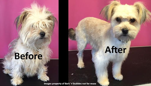 Bark 'n' Bubbles Professional Dog Grooming and Spa