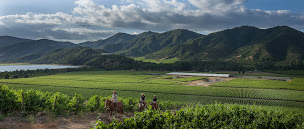 Photo n°8 de Continents Insolites à Lyon (Agence de voyages)