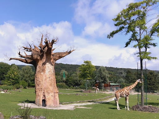 Opel Zoo - Thumbnail