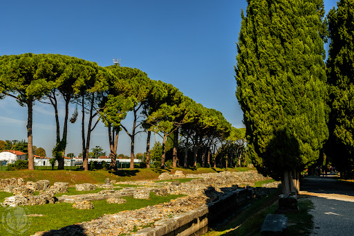 Archaeological Area of Aquileia - Roman Forum - Thumbnail