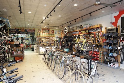 Dash Bicycle Shop