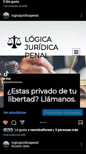 LÓGICA JURÍDICA PENAL.